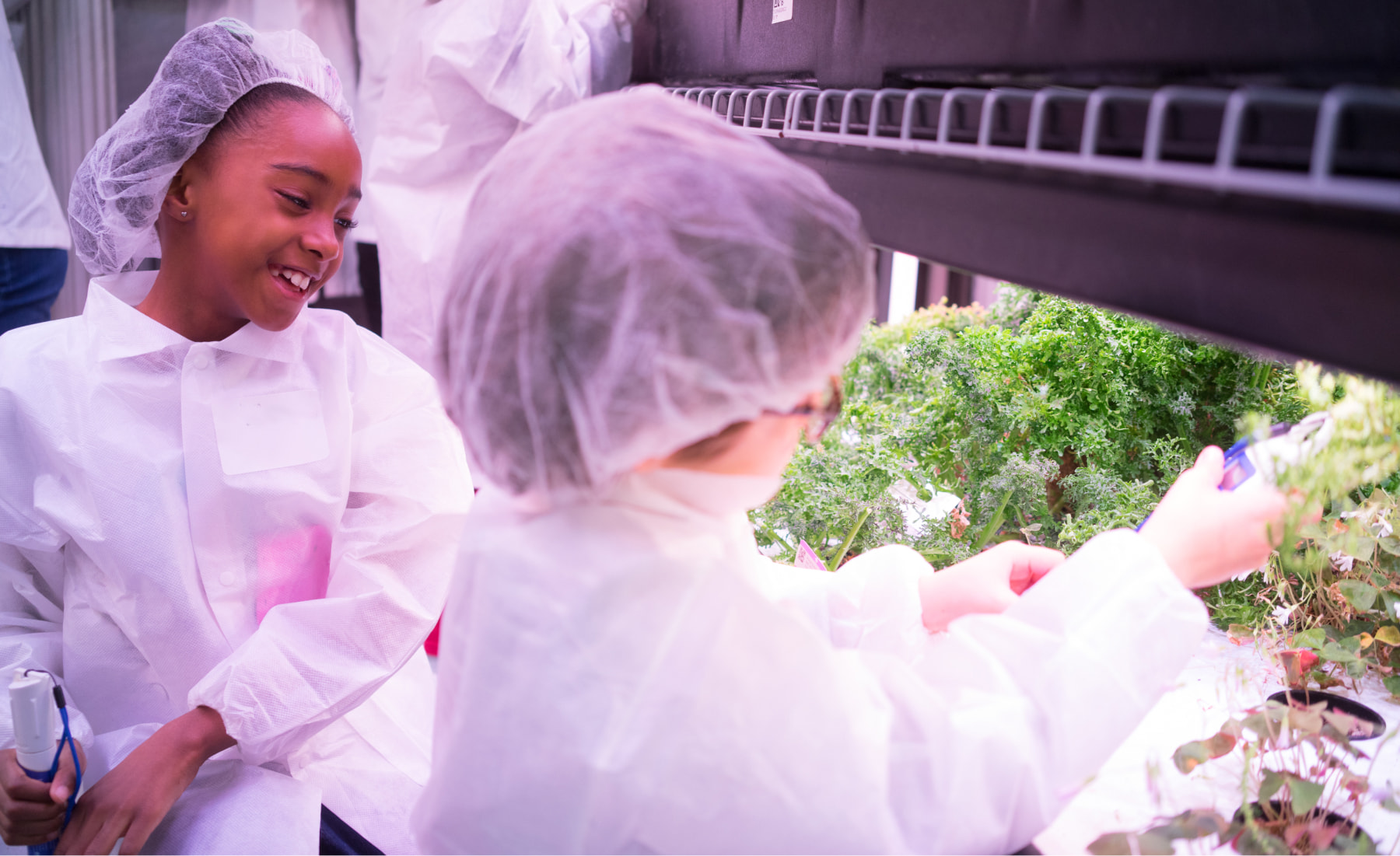 Visitors looking at the farm