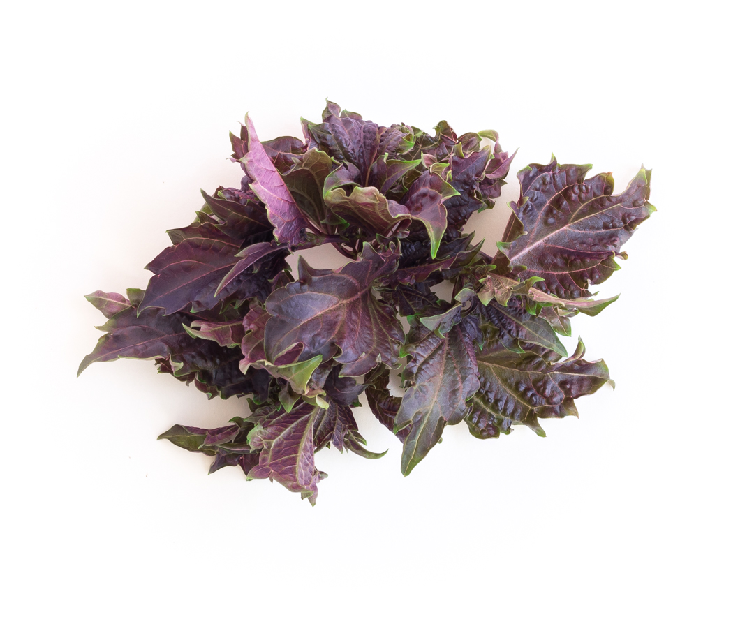 Stronger licorice flavor with striking ruffled serrated leaves