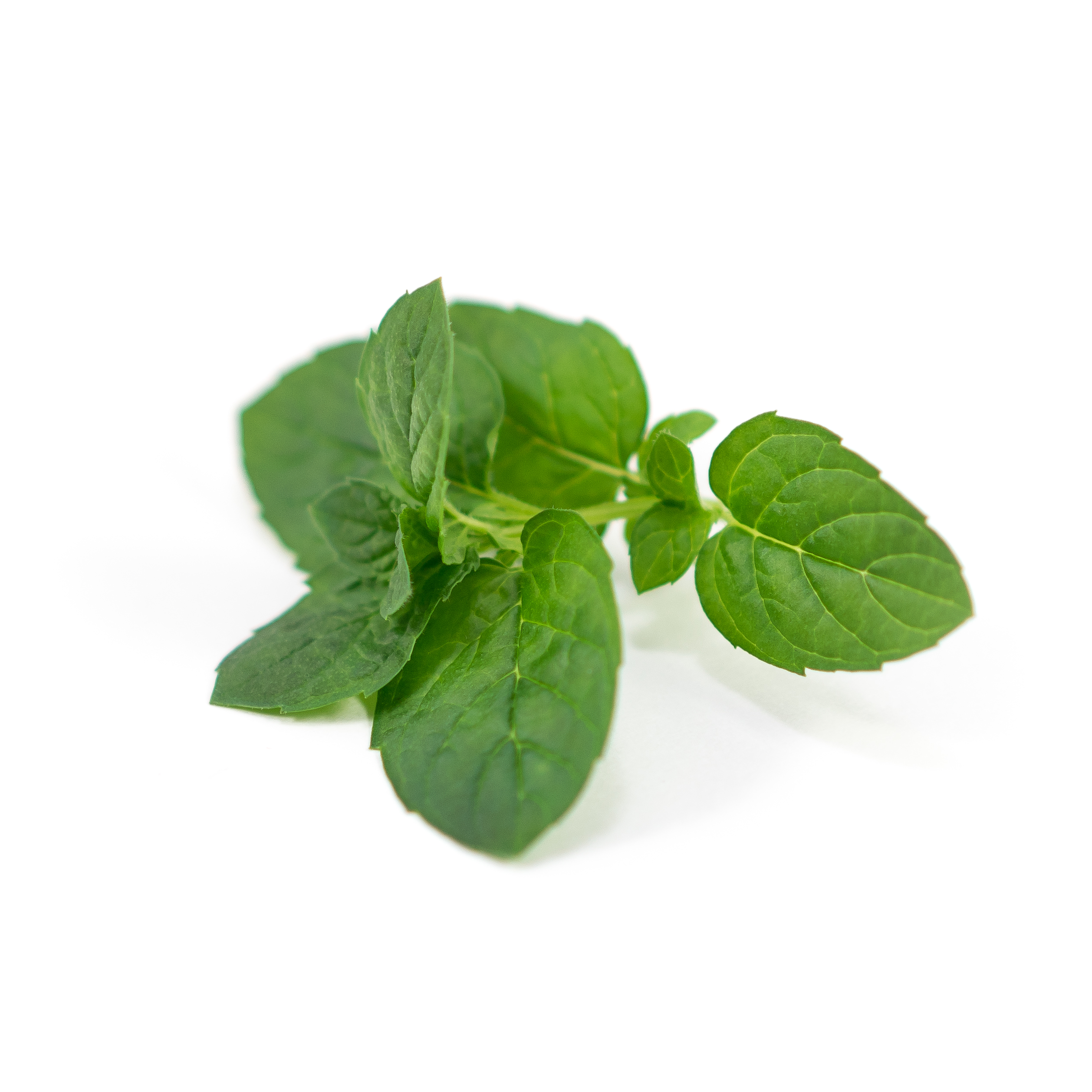 Mint, with notes of berry flavor and creaminess