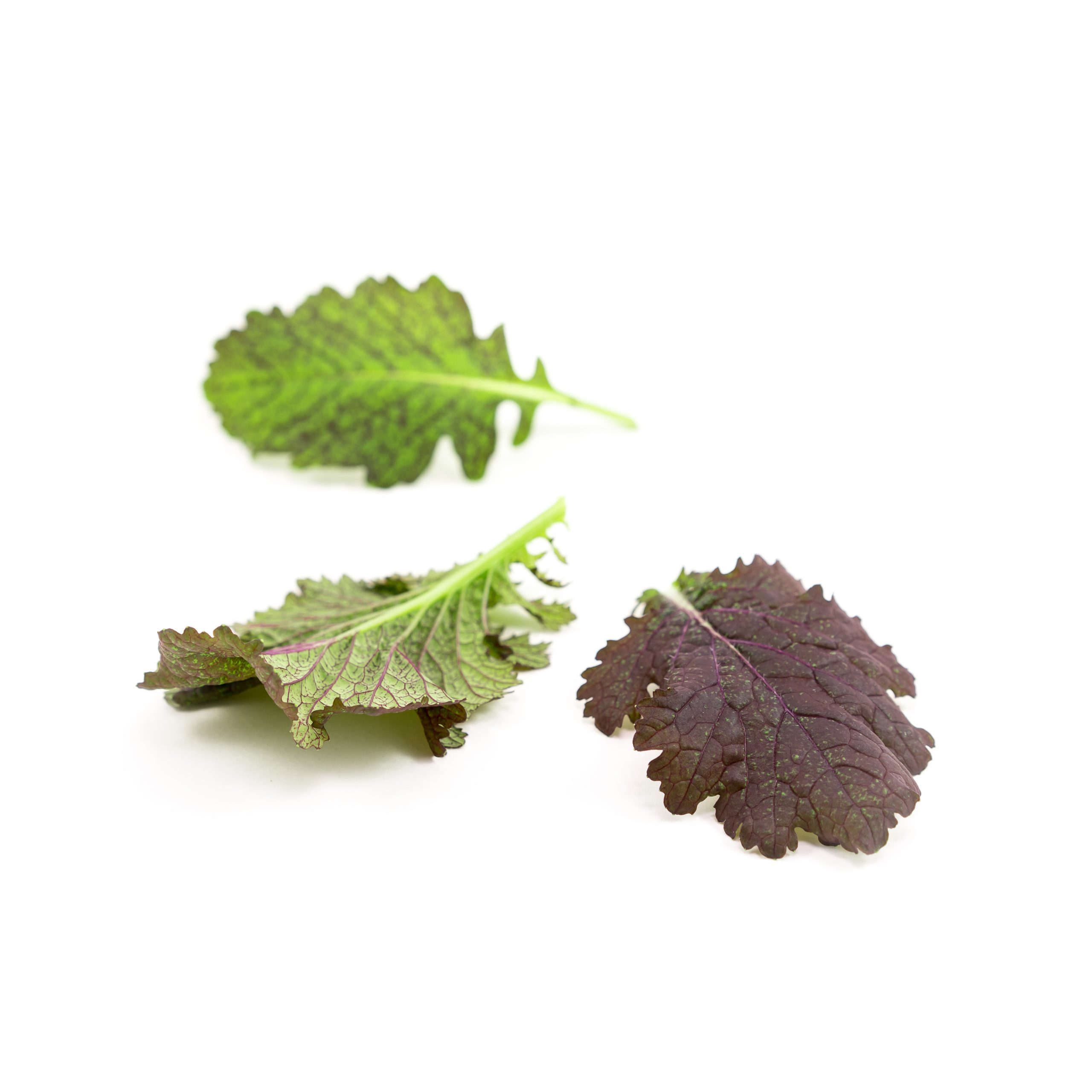 Bold red color with spicy mustard flavor