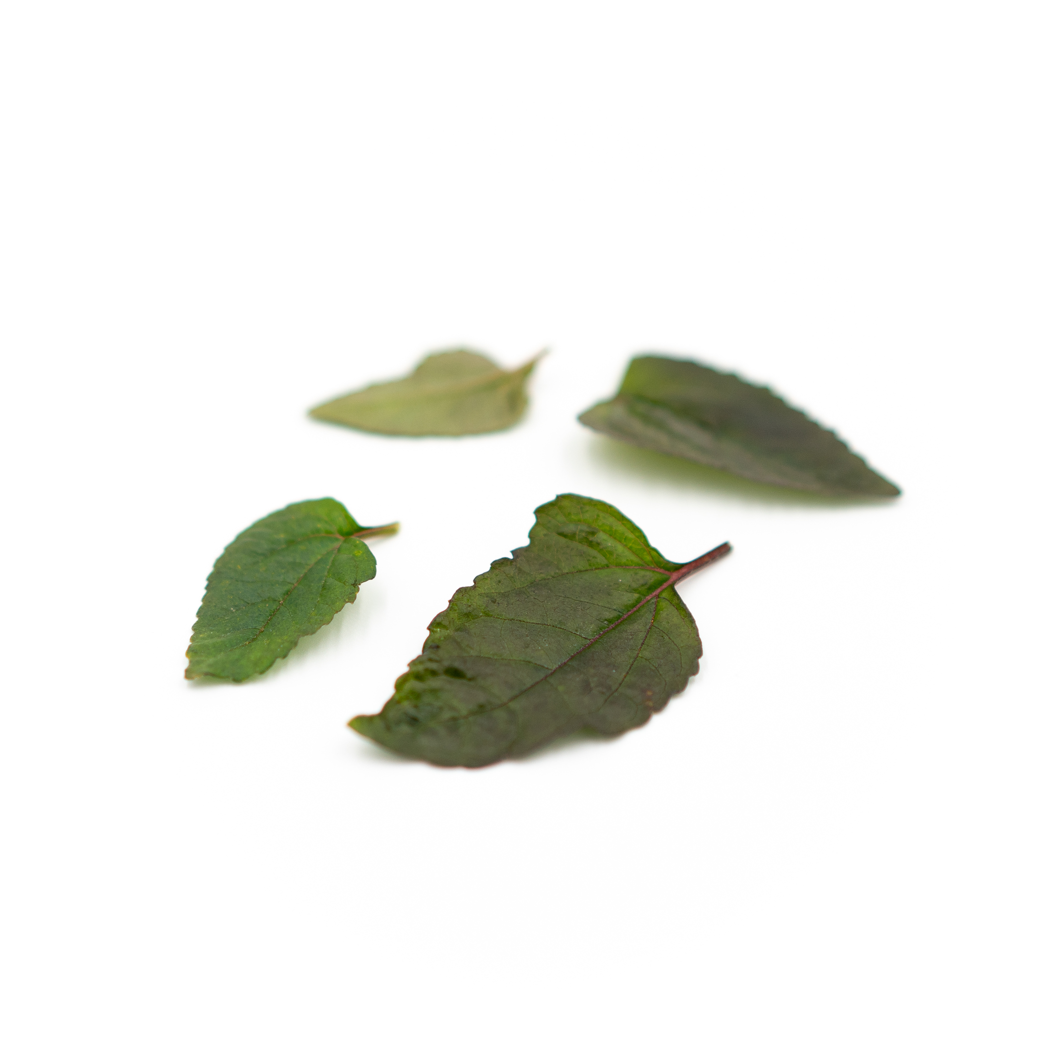 A Sichuan peppercorn-like fizzy, spicy sensation!