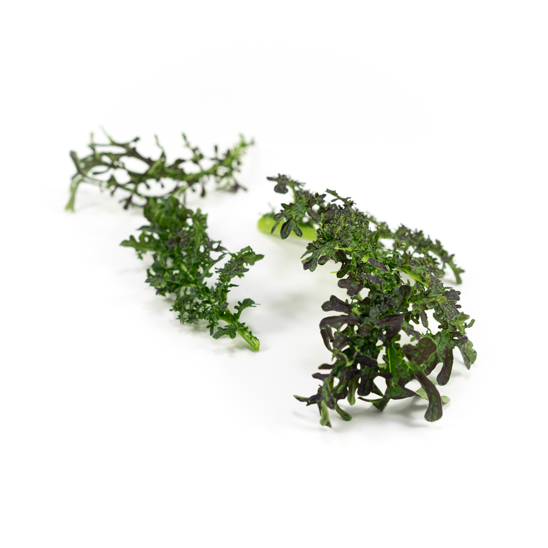 Ruffled green and red leaves with mustard flavor